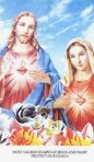 Sacred Hearts of Jesus & Mary