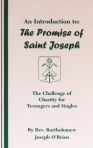 An Introduction to: The Promise of St. Joseph